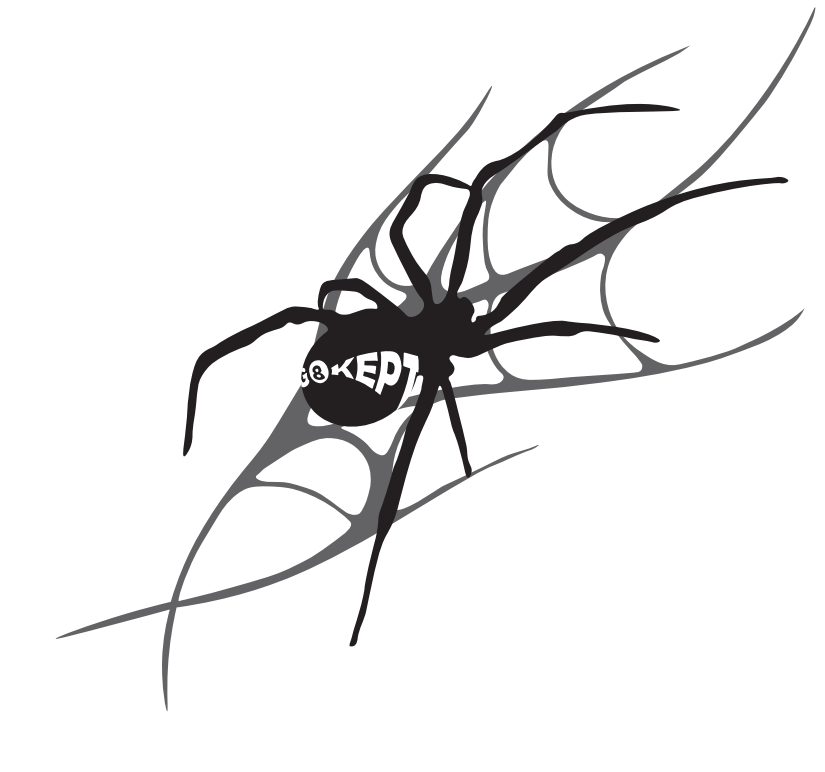 G8KEPT Chromeback spider