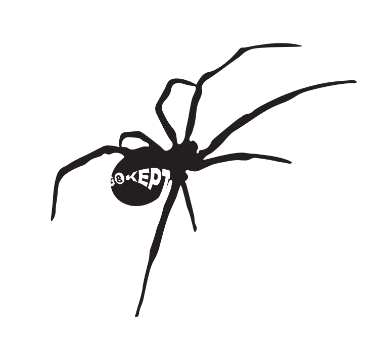 SPIDER NO WEB SPIDER NO WEB